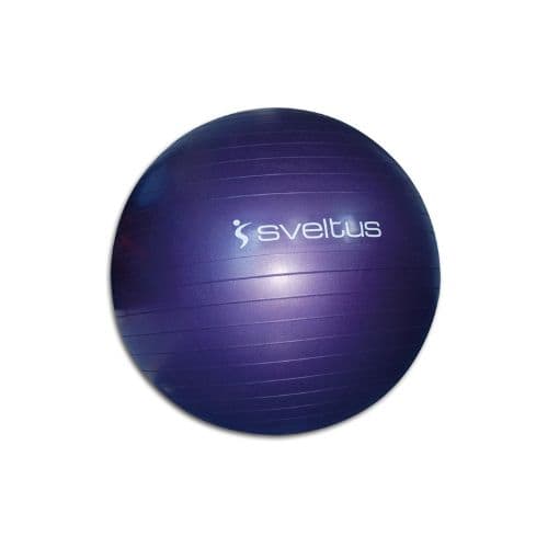 Gymball parme Ø75 cm – Sveltus