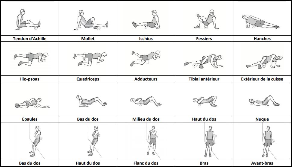 Blackroll-exercice-rouleau