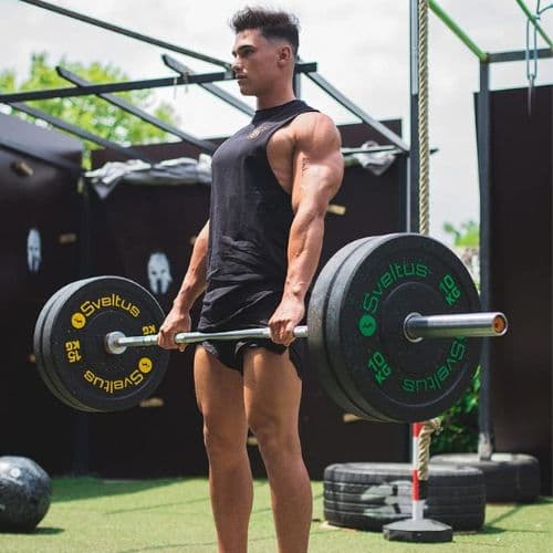 Disque olympique bumper 10kg – Sveltus