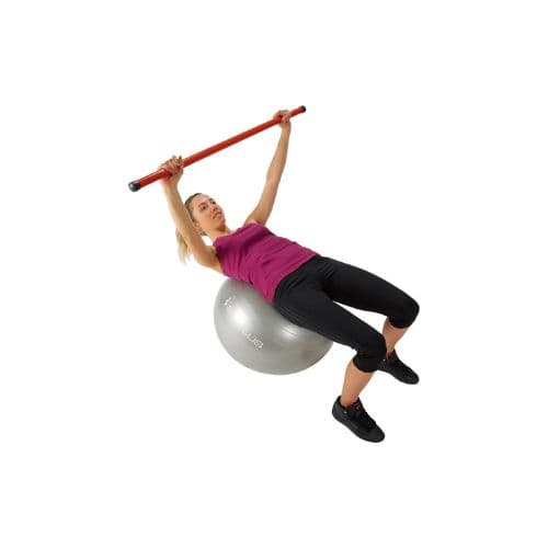 Gymball parme Ø75 cm – Sveltus