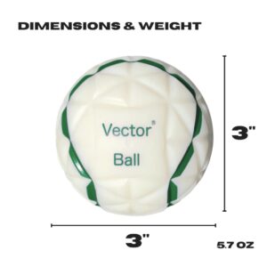 taille vector ball